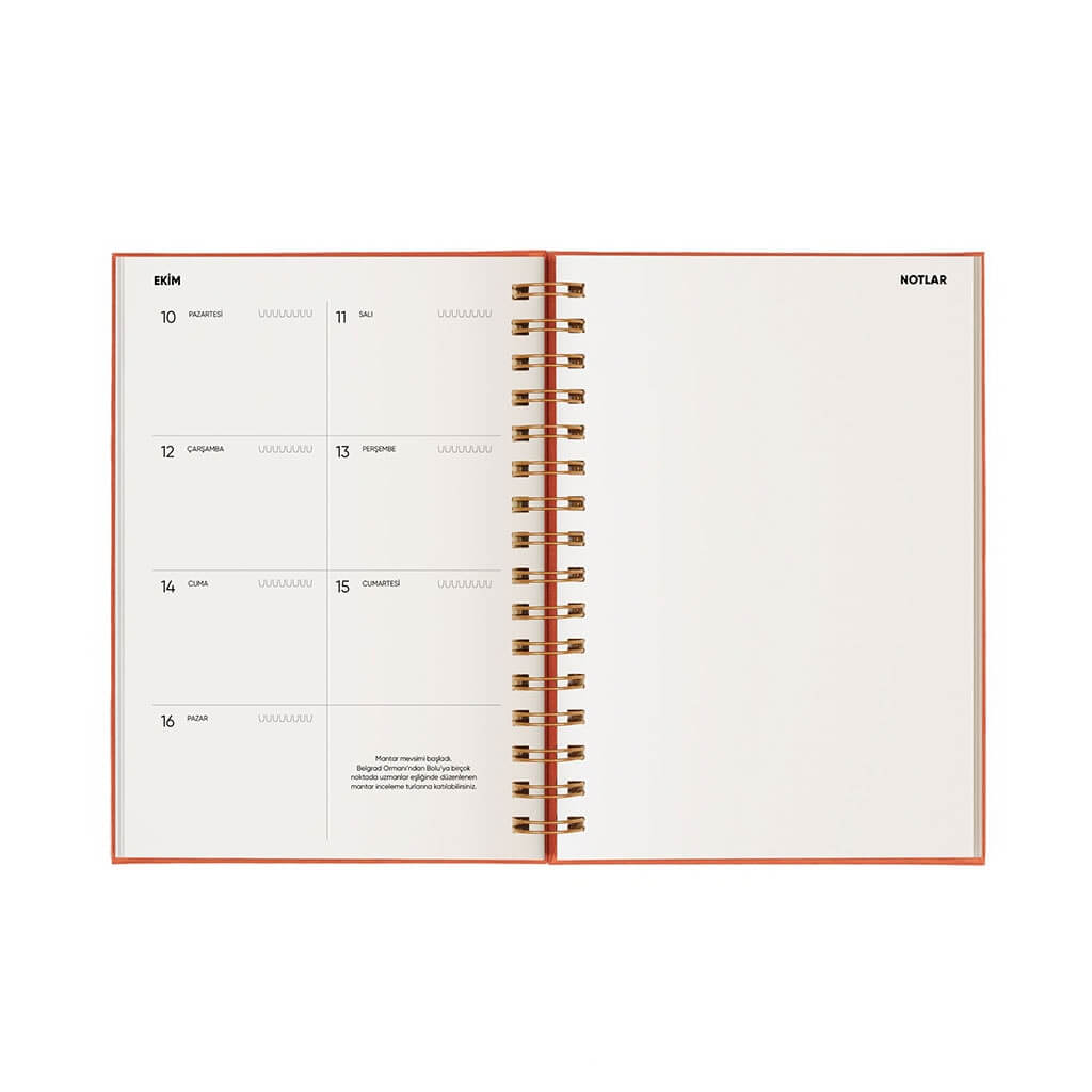 Alev Turuncusu - Seyahat Temalı 2022 Ajandası Alev Turuncusu - Seyahat Temalı 2022 Ajandası